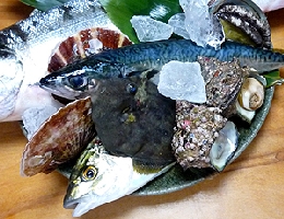 生簀の新鮮な魚介